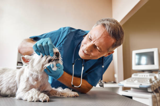 Best Pediatric Emergency Dentist in Canadian, TX